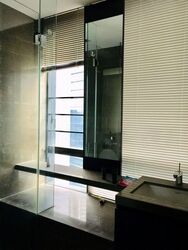 Skysuites@Anson (D2), Apartment #592451571